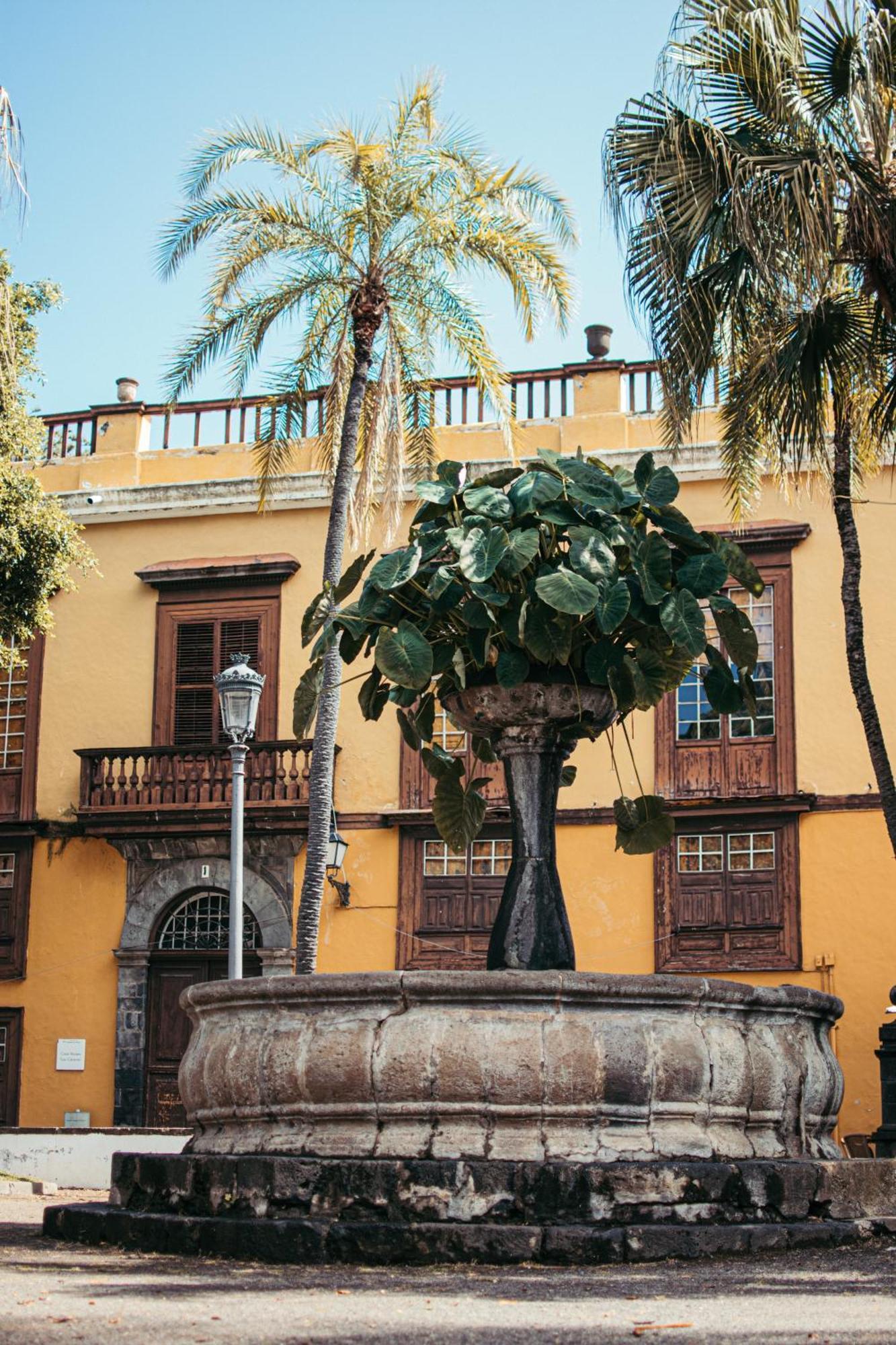 Las Casitas Del Bebedero - Yoga & Ecoturismo イコー・デ・ロス・ビノス エクステリア 写真