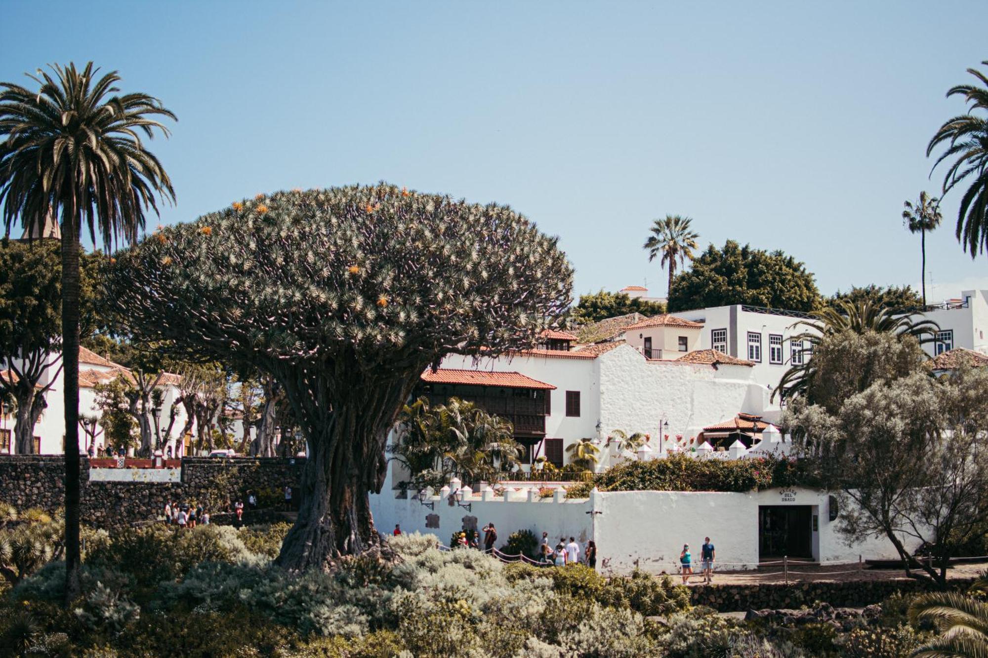 Las Casitas Del Bebedero - Yoga & Ecoturismo イコー・デ・ロス・ビノス エクステリア 写真